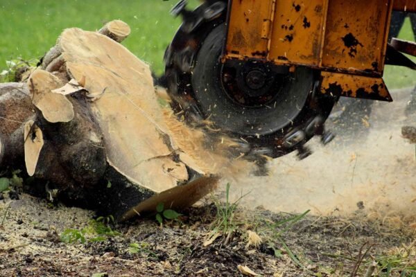 stump removal