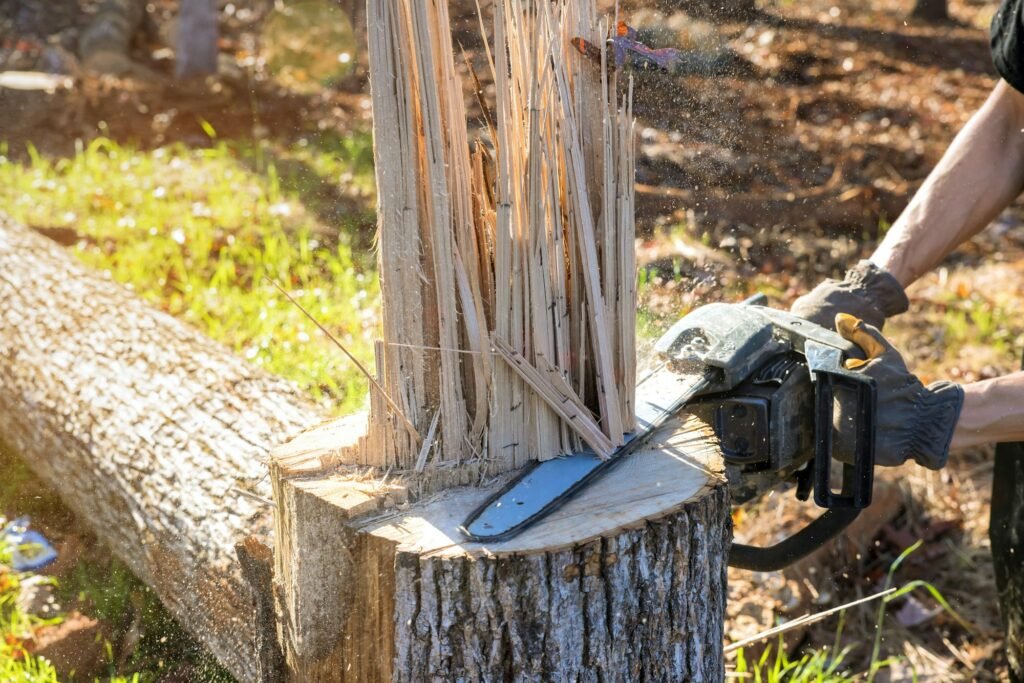 Tree cutting service