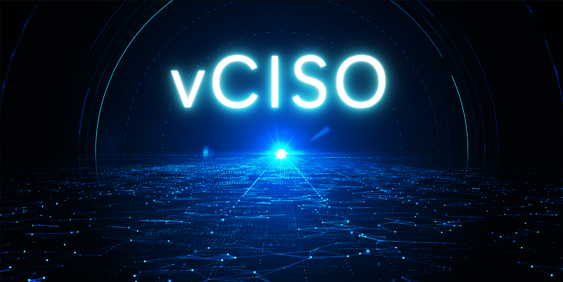 VCISO