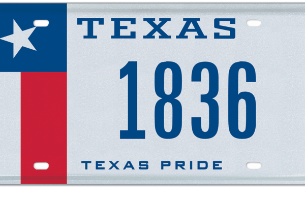 texas license plate lookup